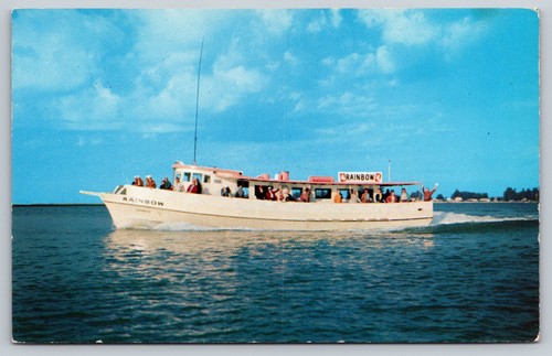Vintage postcard clearwater - vintage,