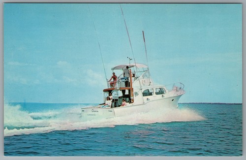 Islamorada florida cheeca - florida,