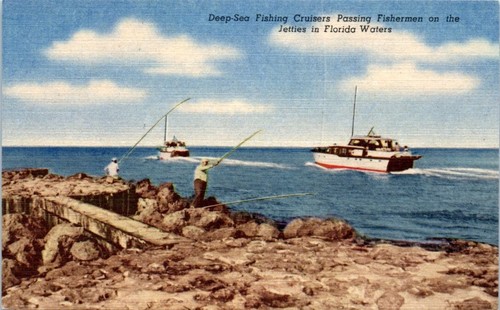 Deep sea fishing - fishing, cruisers