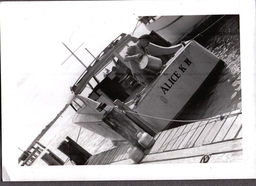 Vintage photograph 1951 - vintage,