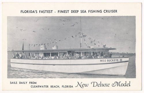 Miss buckeye iii deep - miss,